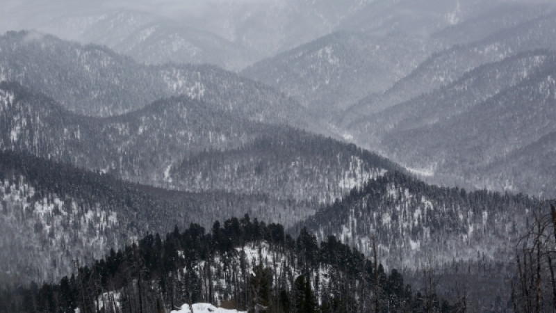 Горы на Алтае. © РИА Новости
