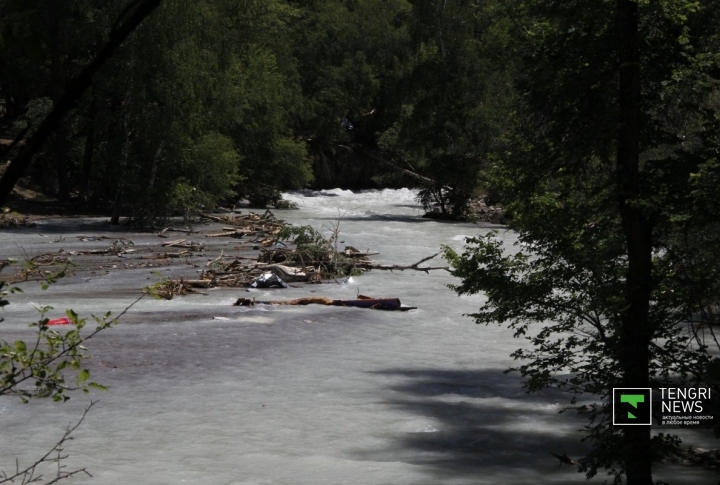 В воде видны обломки и стволы поваленных деревьев. ©Дмитрий Хегай