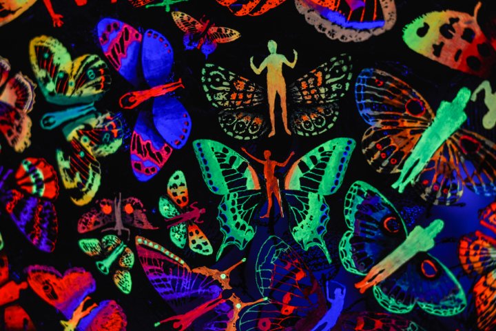 В центре комнаты круг, состоящий из множества бабочек с человеческими телами с одной стороны... 