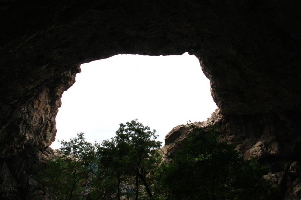 Если поднять глаза вверх, можно увидеть вход в пещеру. Она представляет собой большой зал длиной 150 метров и шириной около 65 метров, высотой около 30
метров. Раньше купол был цельным, однако затем он обвалился.