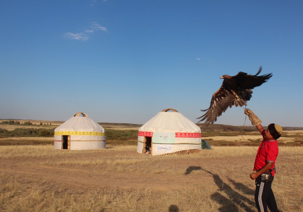 Как утверждают местные охотники, хищная птица во времена холодов и голода могла прокормить целый аул. Фото Шокан Алхабаев ©