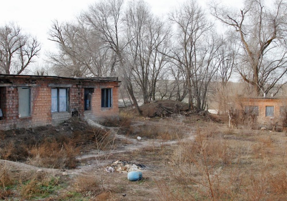 Но между старым и новым питомником это место приходило в упадок почти 20 лет.