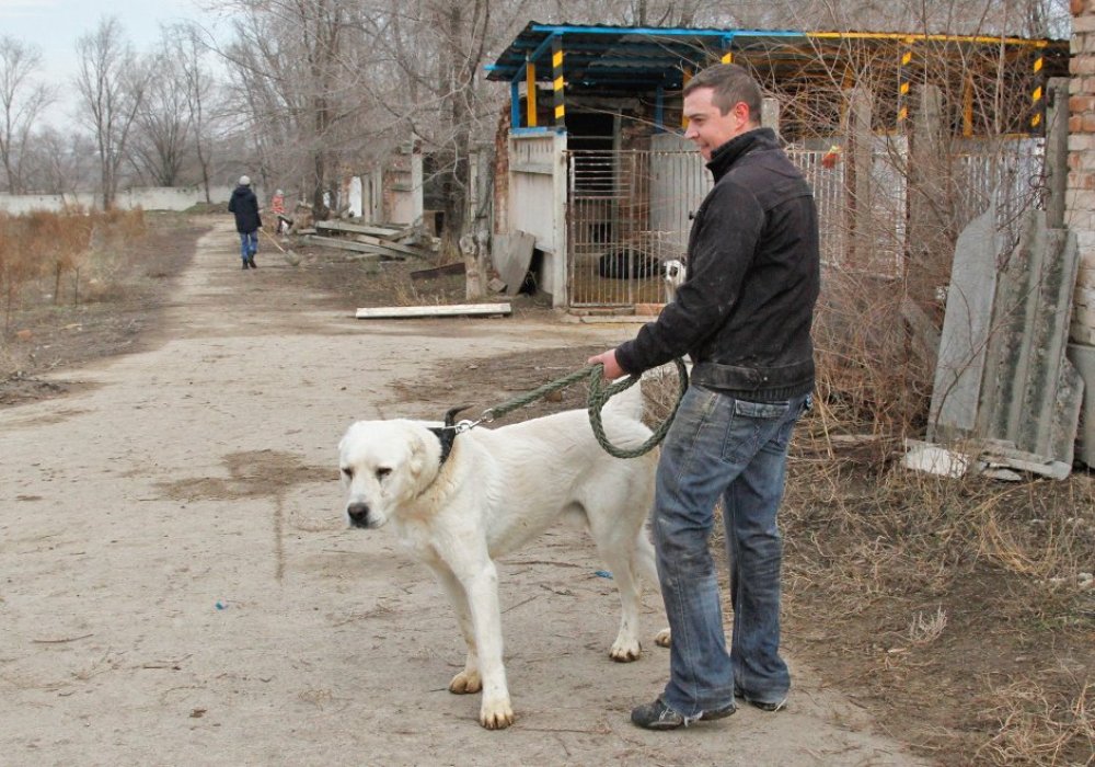 Однако на практике все выходит не так.