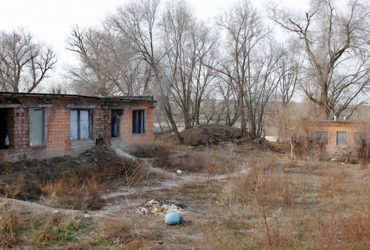 Но между старым и новым питомником это место приходило в упадок почти 20 лет.