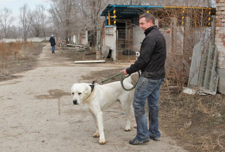 Однако на практике все выходит не так.