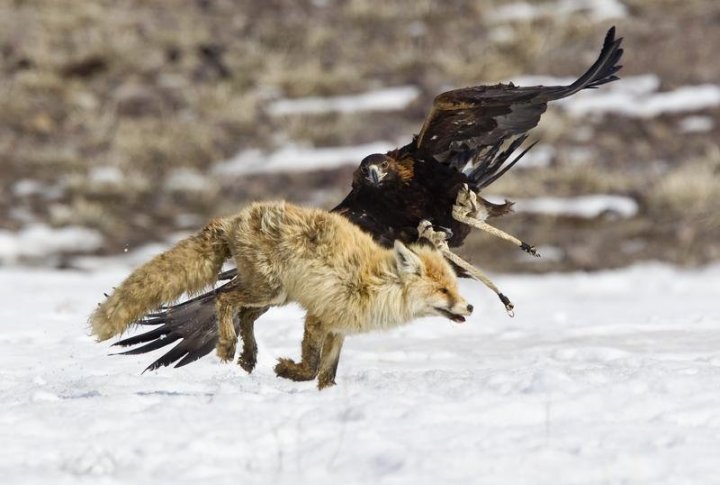 Фото ©REUTERS/Shamil Zhumatov