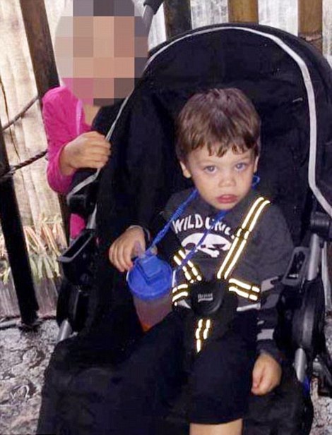 СМИ опубликовали фото и имя мальчика, похищенного аллигатором