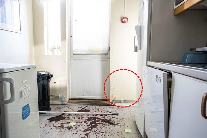 СМИ выложили фото с места громкого убийства девушки в Швеции