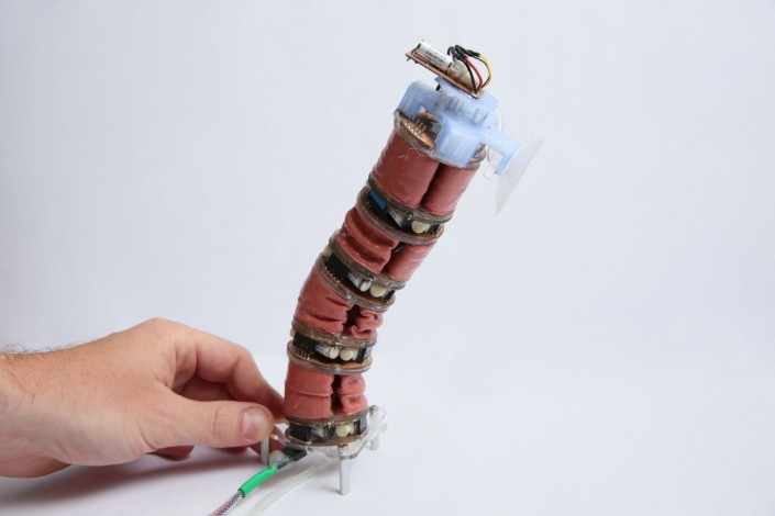 В Швейцарии разработали "робота-червяка" для помощи в домашних делах
