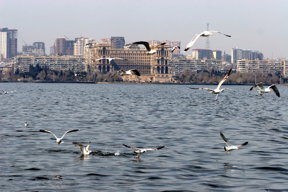 Каспийское море. Вид на город Баку. Фото РИА Новости©