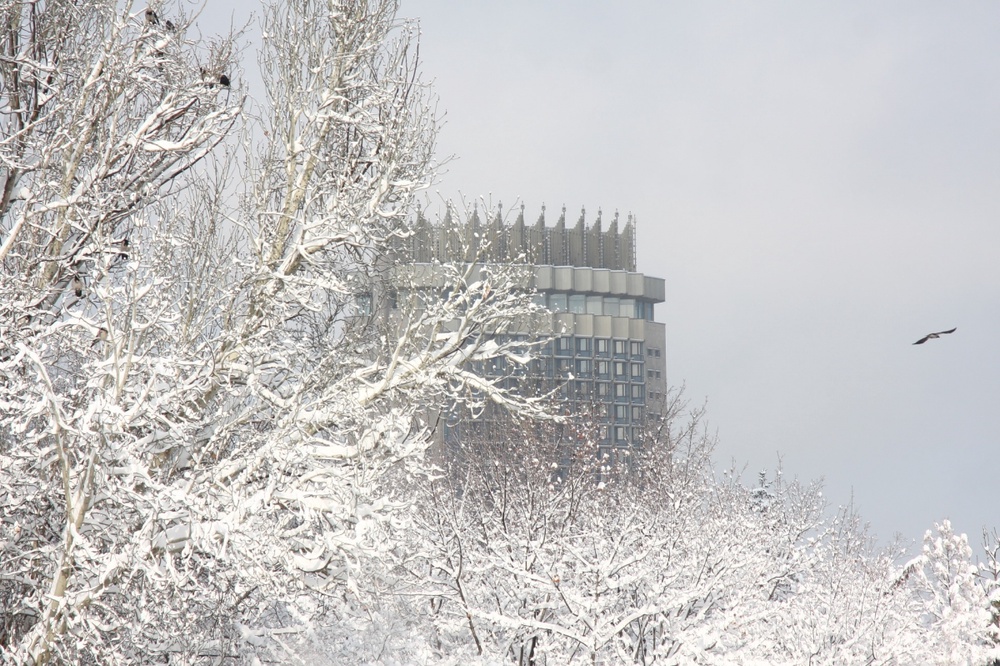 Зима в Алматы. ©Владимир Дмитриев