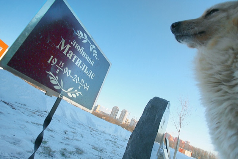 Кладбище для домашних животных . Фото ©РИА Новости/Руслан Кривобок