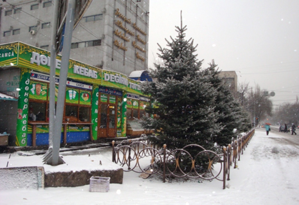 Ели у Зеленого базара в Алматы. Фото ©Роза Есенкулова