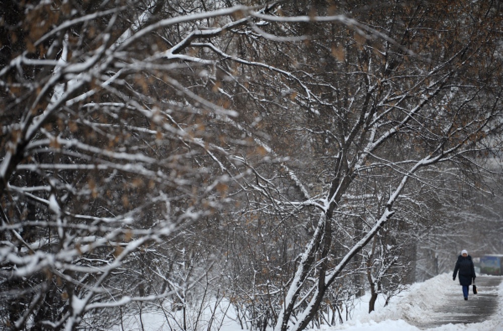 Снег. Фото РИА Новости©