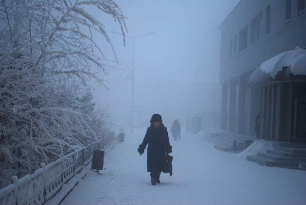 Морозная погода. Фото РИА Новости©