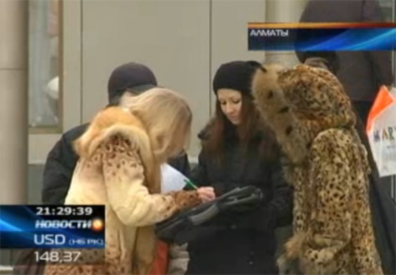 Активисты ведут сбор подписей в центре Алматы. Кадр телеканала КТК.
