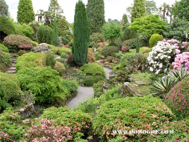Ботанический сад. Фото с сайта dorogoe.com