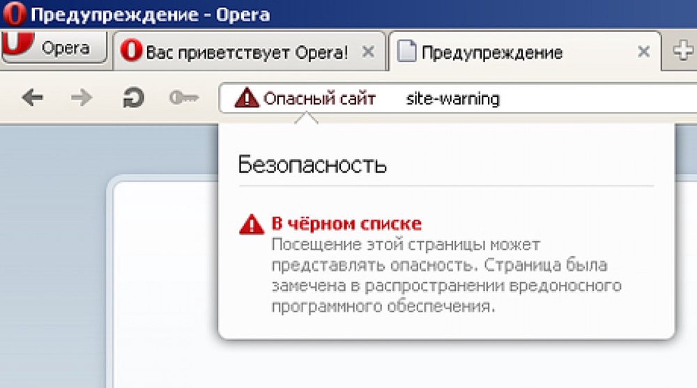 Скриншот браузера Opera