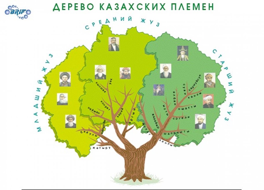 Дерево казахских родов. Фото с сайта maxpark.com
