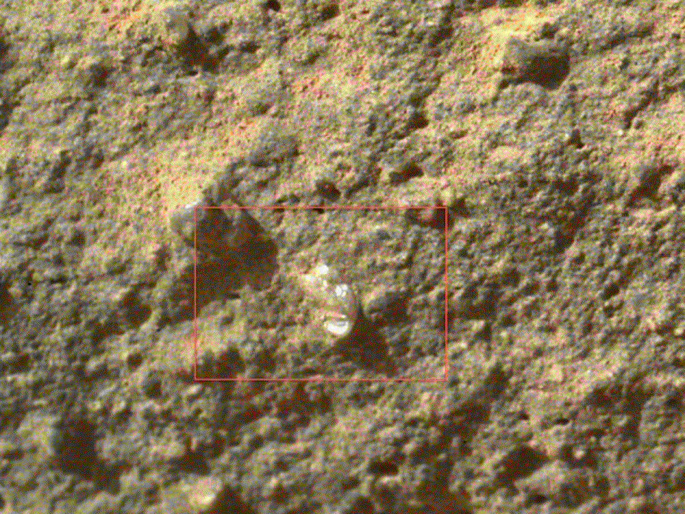 "Марсианский цветок". Фото с марсохода "Кьюриосити" 