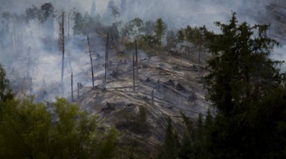 Последствия пожара на горе Мохнатка. Август 2012. Фото Владимир Дмитриев©