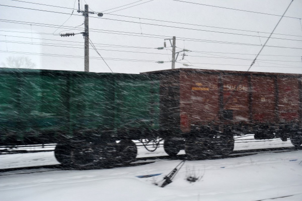 Грузовой состав в условиях зимы. Фото РИА Новости©
