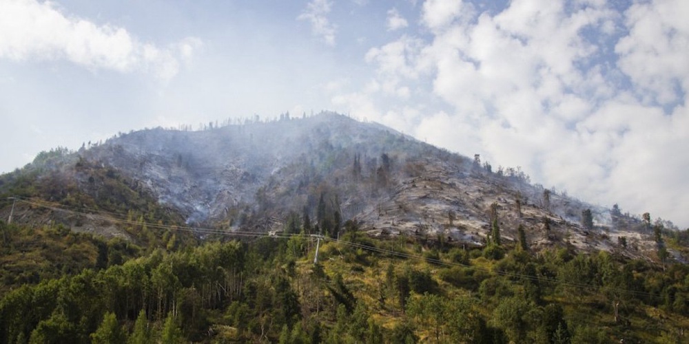 Пострадавший от пожара склон горы Мохнатка. Фото Владимир Дмитриев©