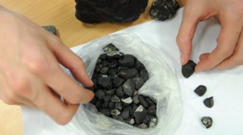 Образцы осколков метеорита. Фото РИА Новости©