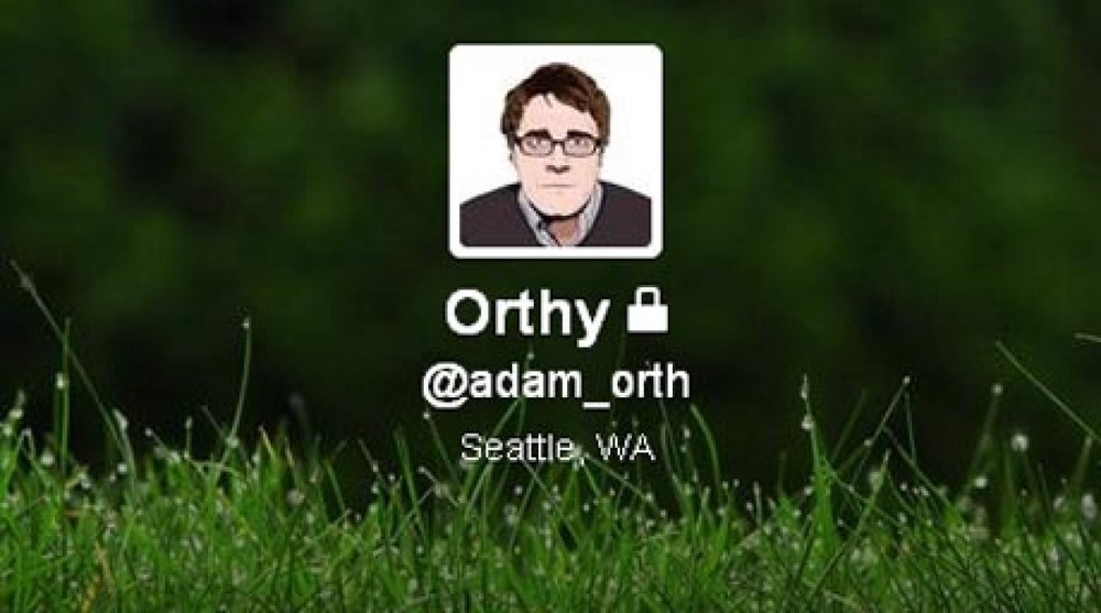Скриншот страницы профиля @Adam Orth