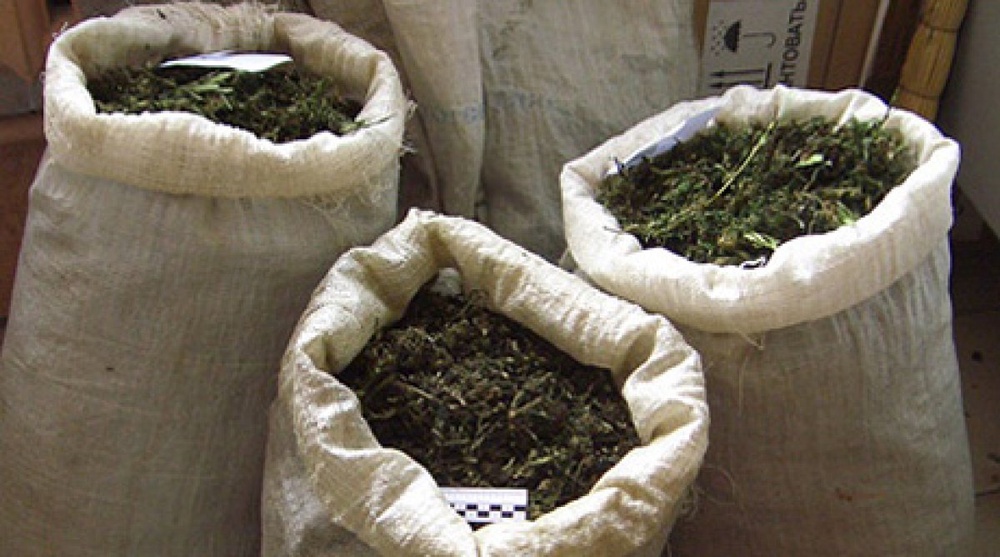 Мешки с марихуаной. Фото  сайта vesti.kz