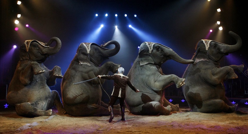 Цирк слонов. Фото ©REUTERS
