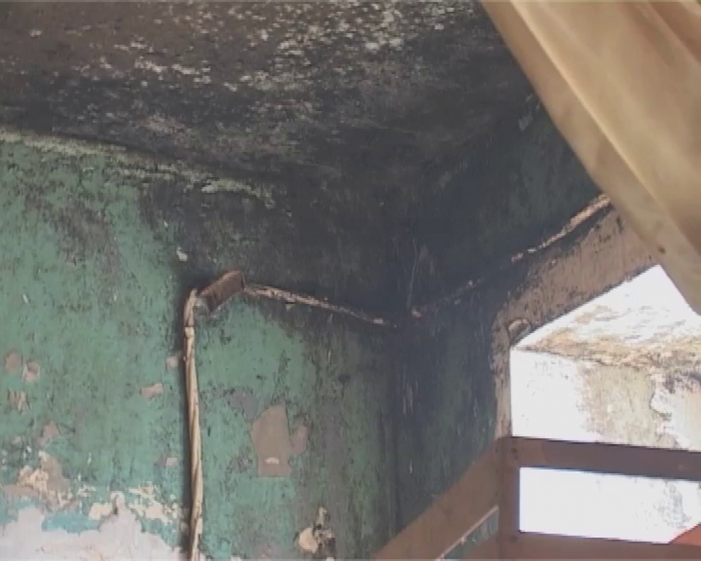 В Павлодаре хлеб пекли в гараже с прогнившими полами и крысами. Фото с сайта Lenta.kz