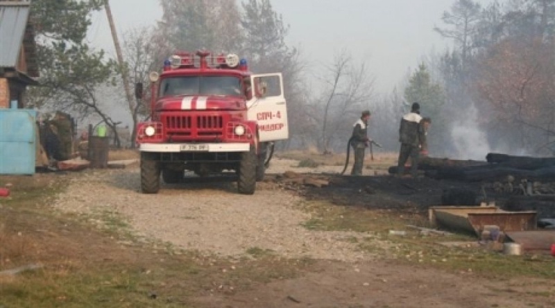 Лесной пожар. Фото из архива Tengrinews.kz