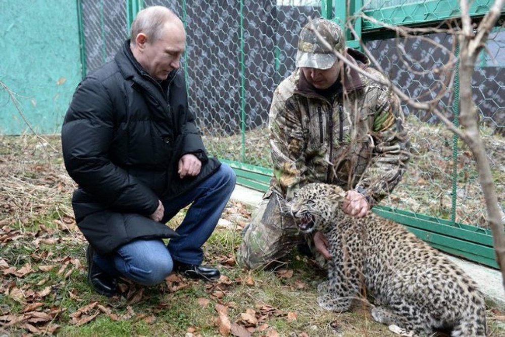 Владимир Путин посетил центр разведения и реабилитации переднеазиатского леопарда. Фото с сайта kremlin.ru