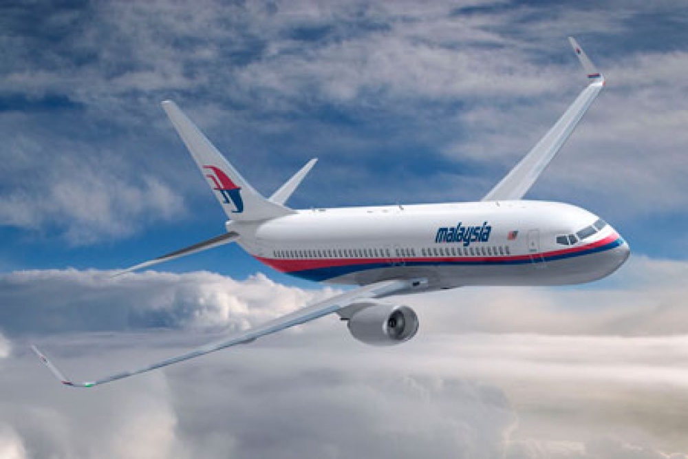 Самолет Malaysian Airlines. Фото с сайта elysplanet.com