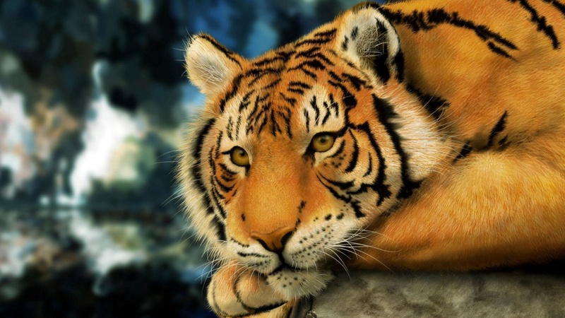 Амурский тигр. Фото с сайта tigromania.ru