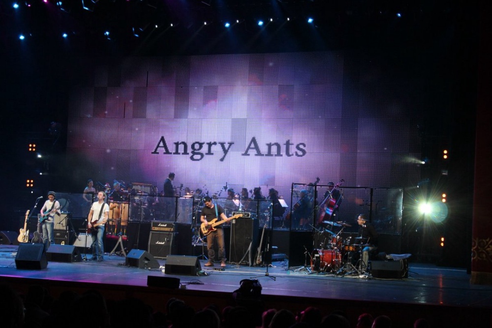 Группа Angry Ants