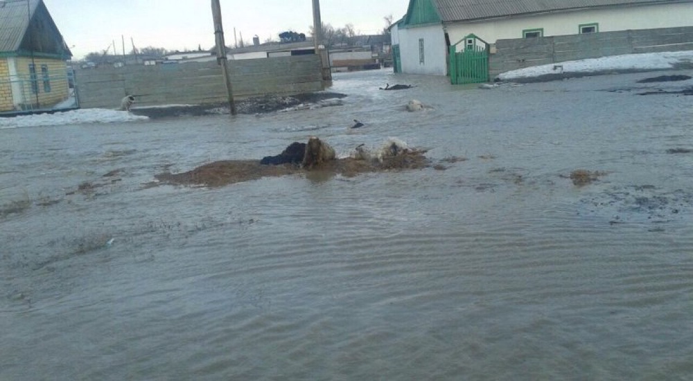 Паводки в Карагандинской области. Фото очевидцев.