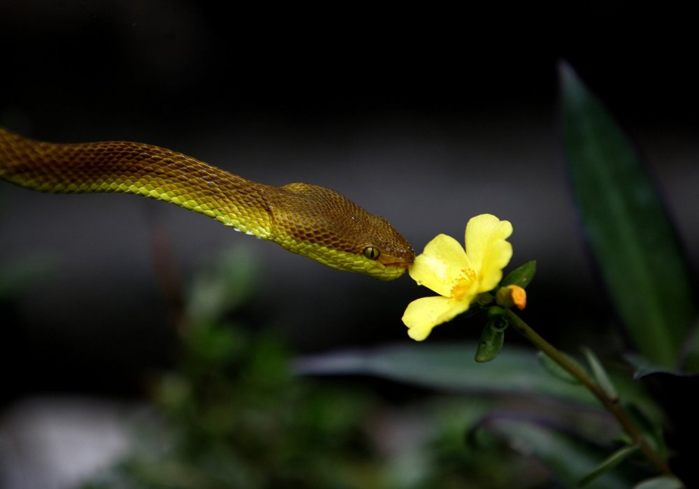 Фото © REUTERS