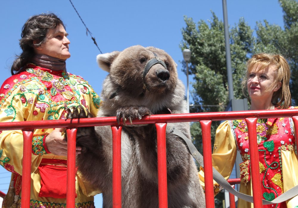 Цирковая кавалькада в Алматы. Фото©Алишер Ахметов.