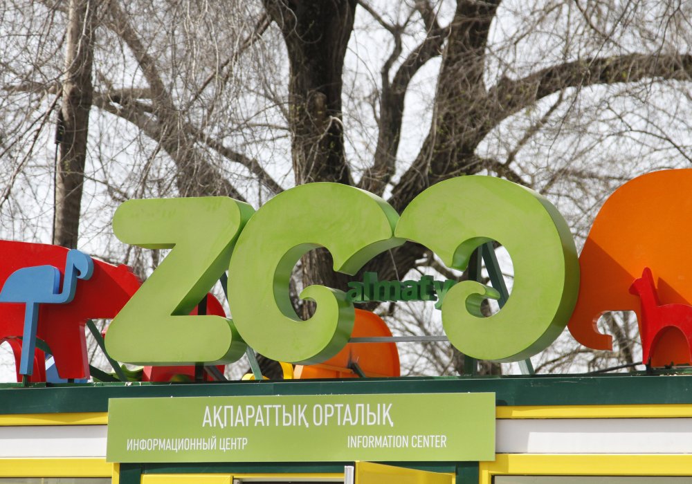 Зоопарк Алматы. Фото Tengrinews