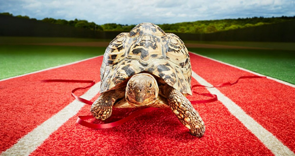 Фото с сайта guinnessworldrecords.com