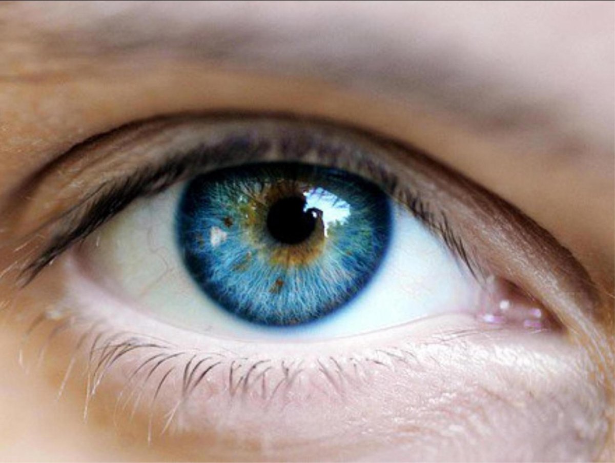 В Японии вырастили сетчатку и хрусталик глаза из стволовых клеток