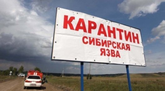 Карантин по сибирской язве в Павлодаре снимут 26 июля