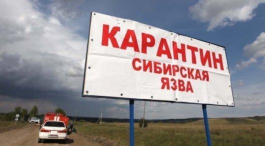 Карантин по сибирской язве сняли в Павлодарской области