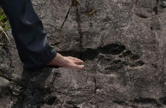 На юго-западе Китая отыскали огромные окаменелые следы ног