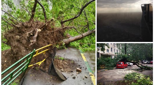 Мужчина погиб во время урагана в Москве (фото)