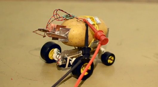 Самоуправляемого робота из картофелины собрал польский инженер