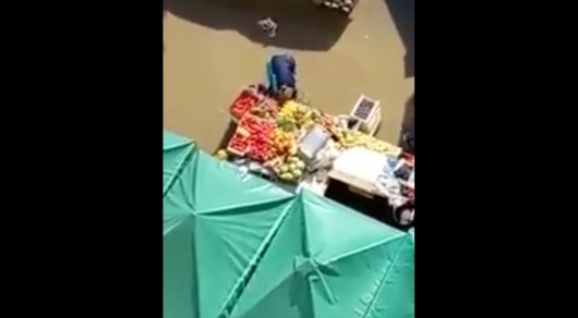 Моющий овощи в луже продавец в Астане попал на видео