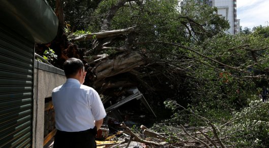 На острове Тайвань в итоге мощного тайфуна пострадали 83 человека